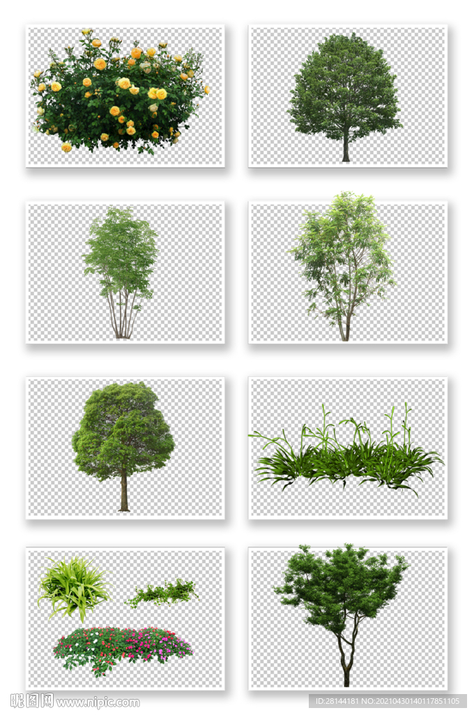PSD植物素材