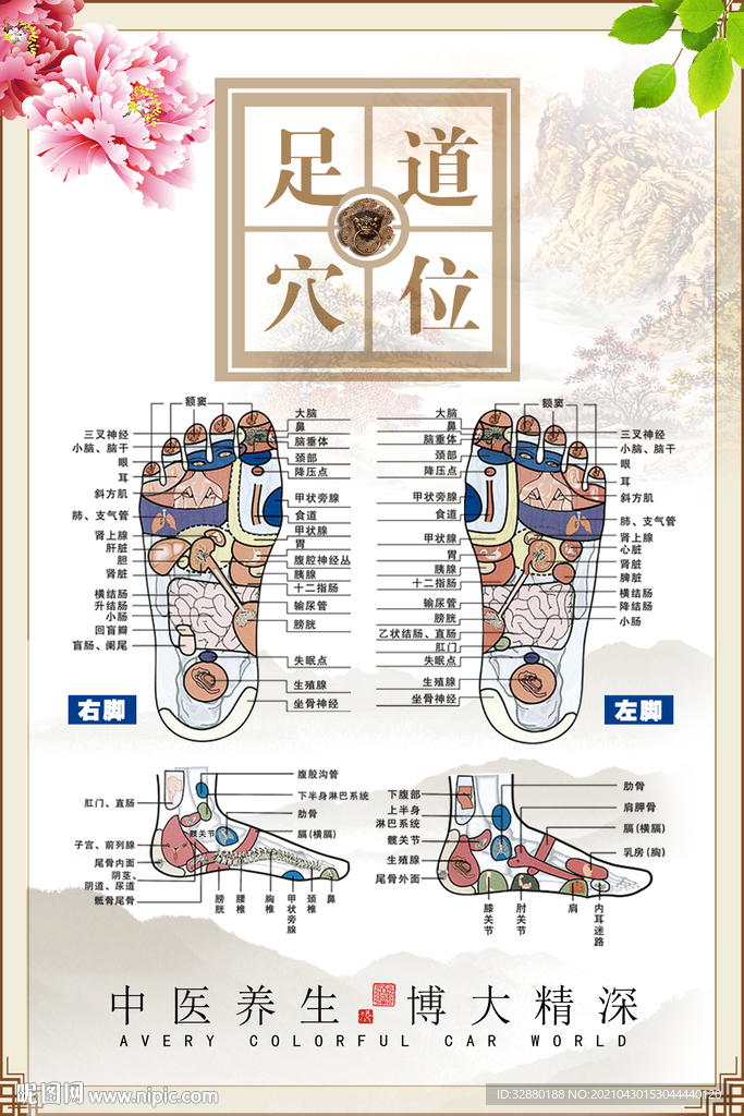 养生海报 足道海报 穴位