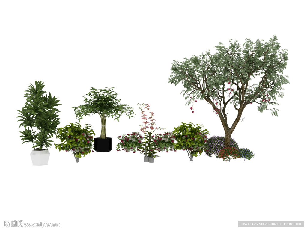 植物树木花丛模型