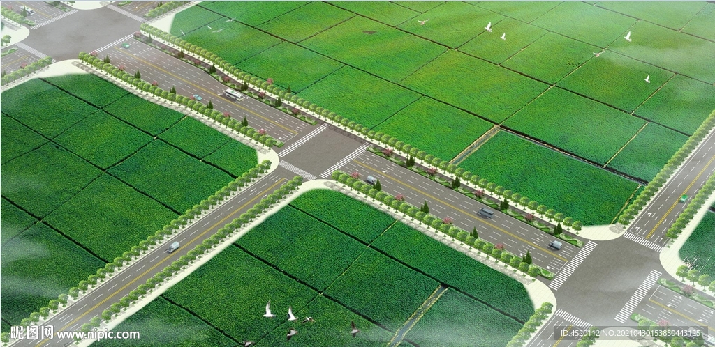 公路绿化