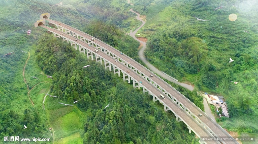隧道进口大桥