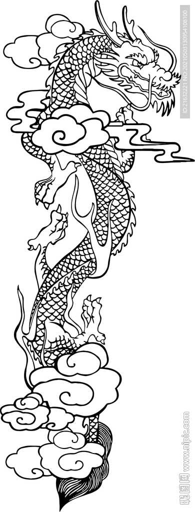 龙