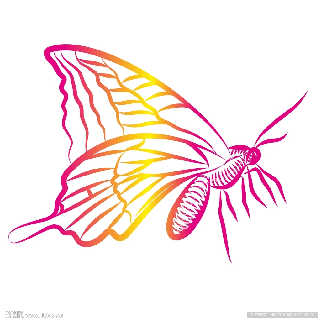 蝴蝶矢量手绘插画