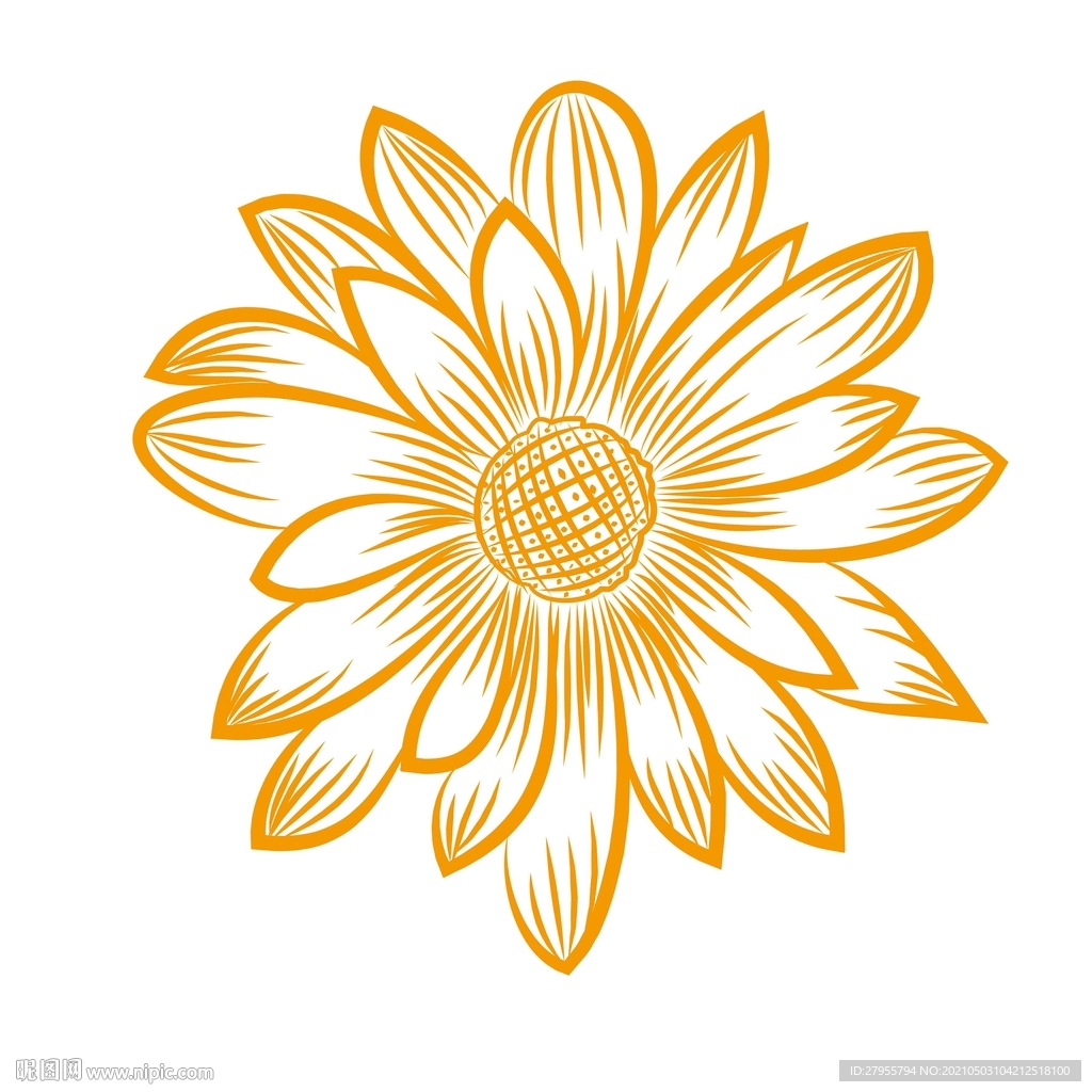 花儿手绘矢量