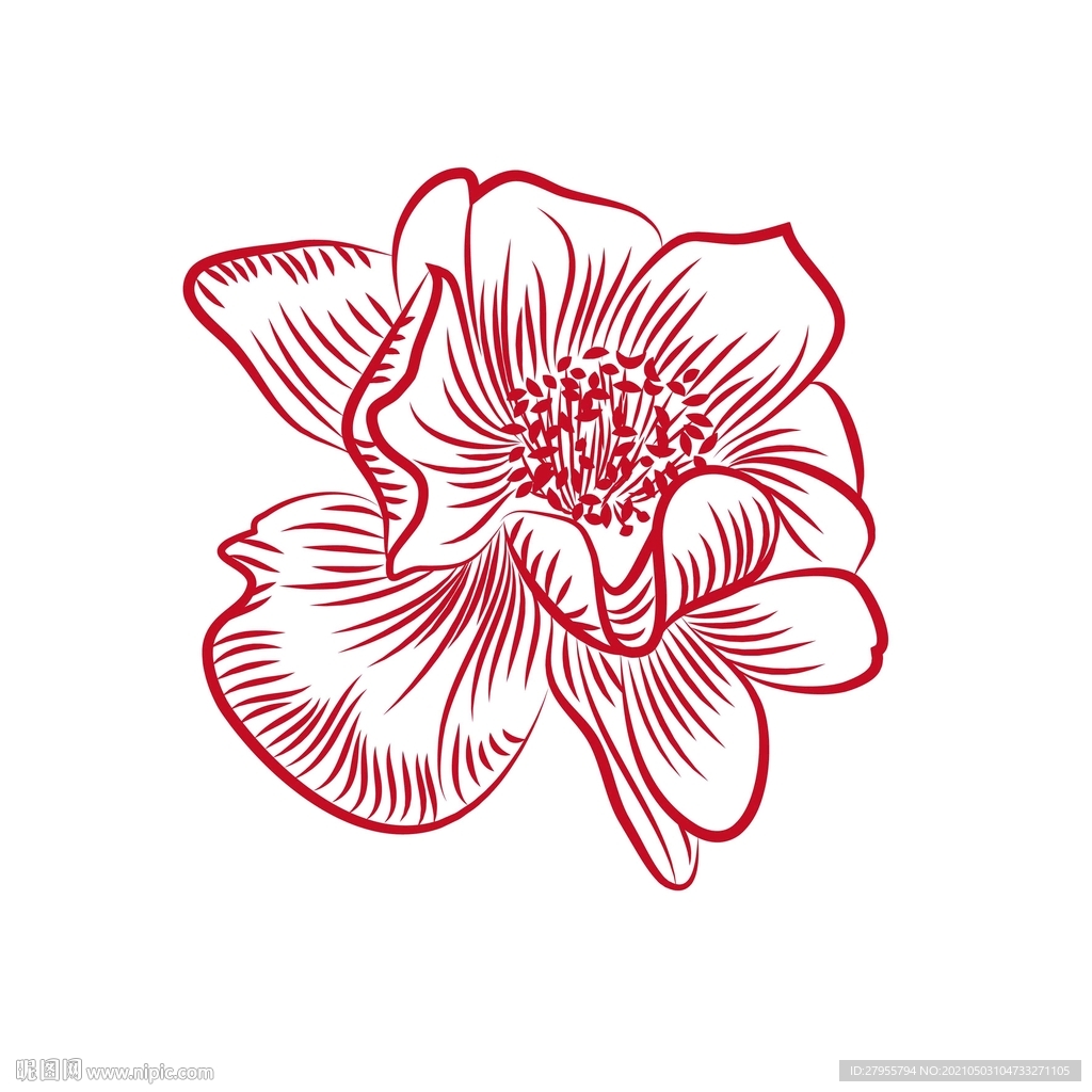 手绘花矢量