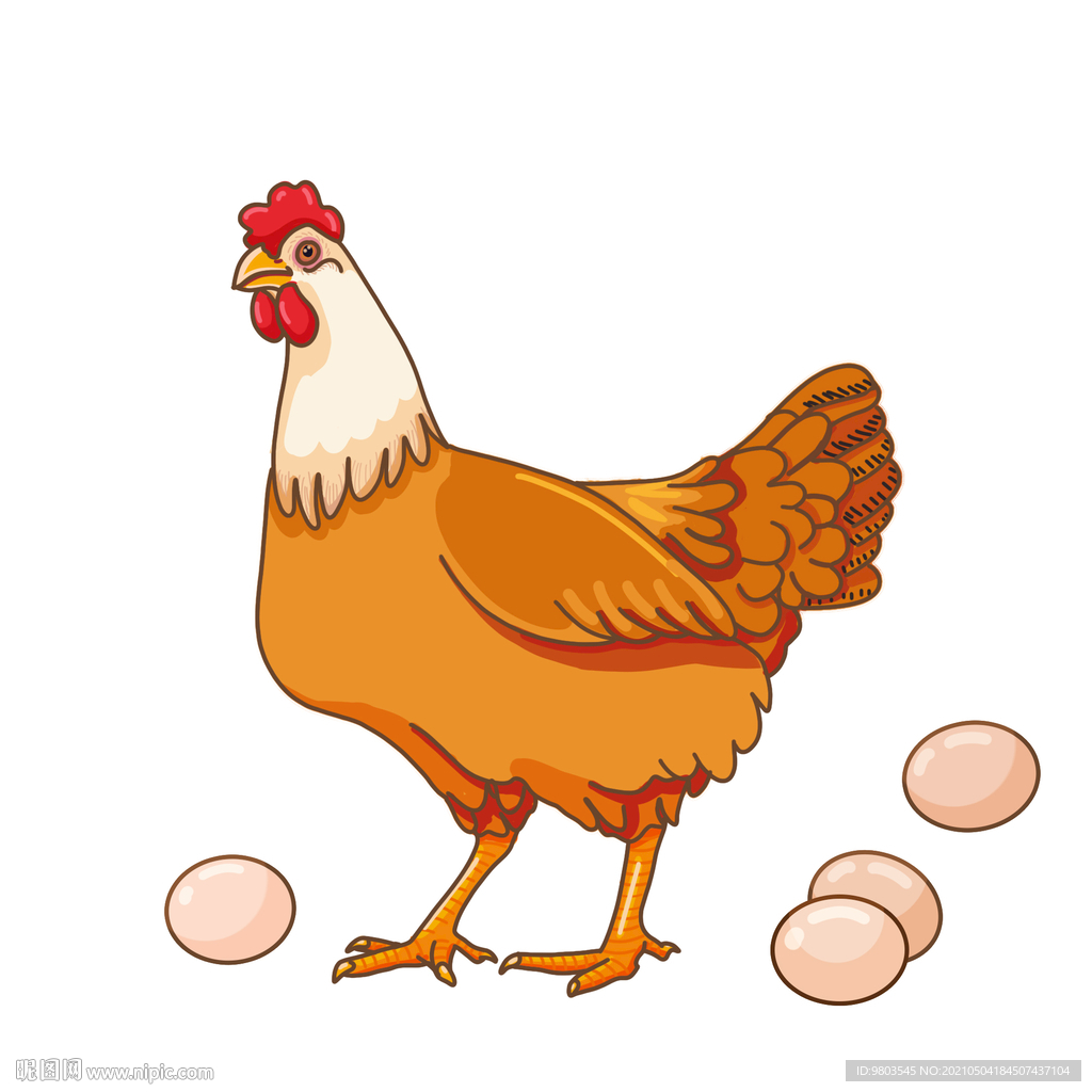 土鸡蛋散养谷物母鸡手绘农跑山鸡