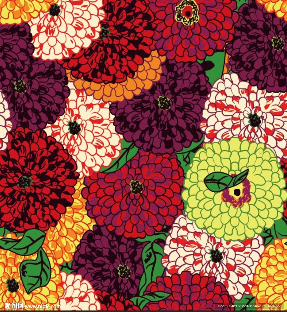矢量花  菊花