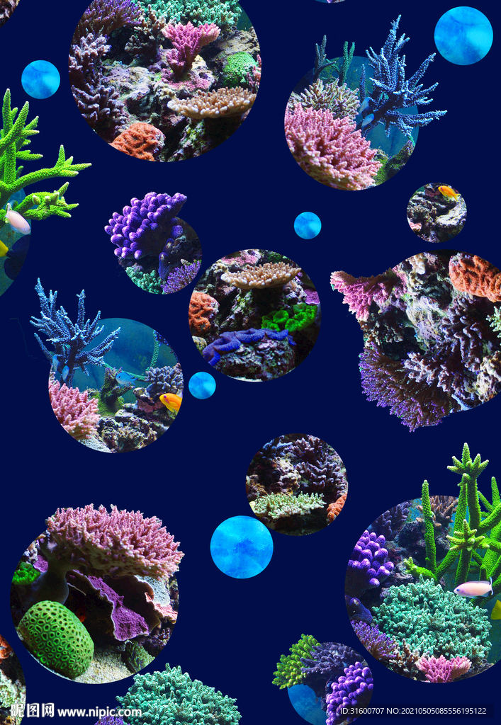 波点海洋花