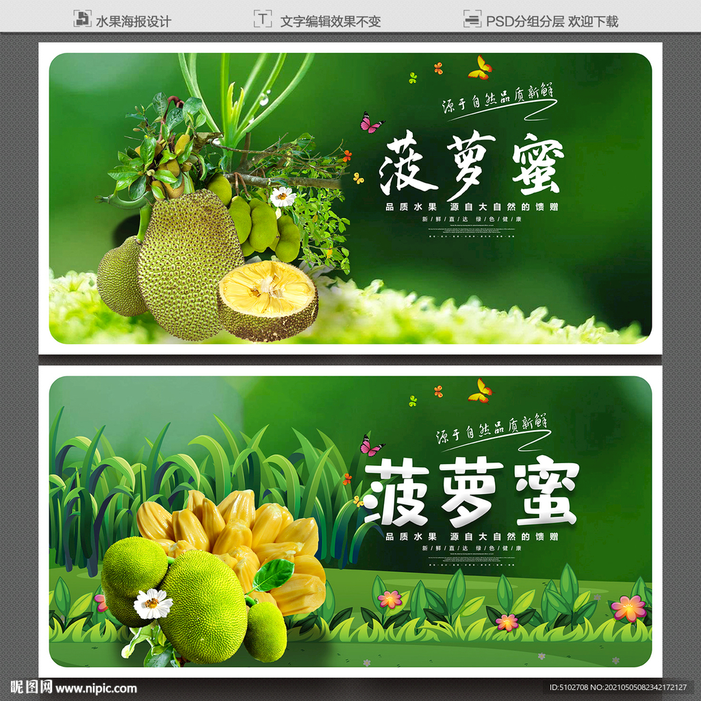 菠萝蜜