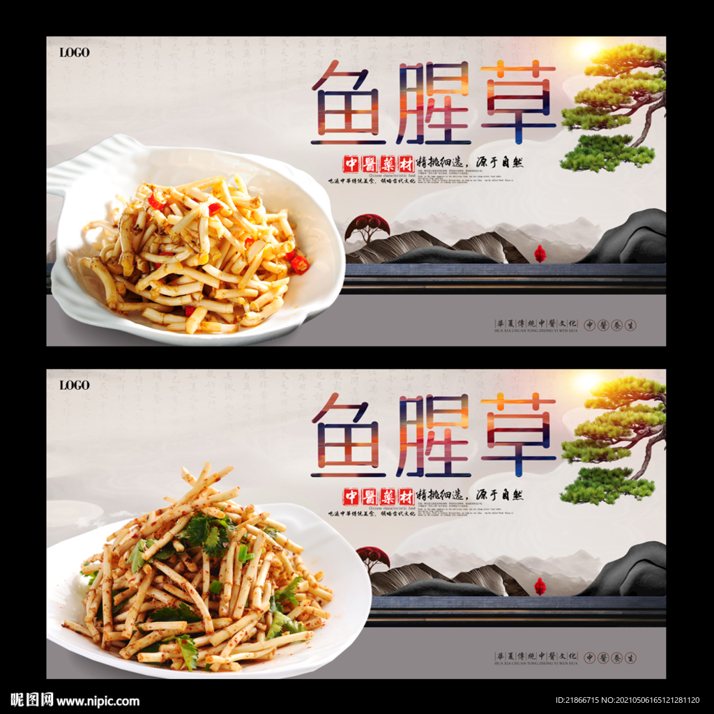 鱼腥草