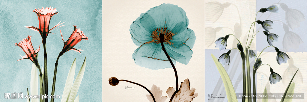 花卉装饰画
