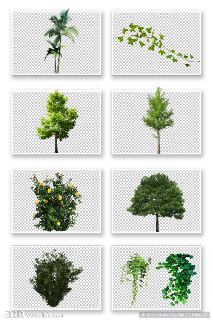 PSD植物素材