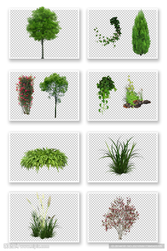 PSD植物素材