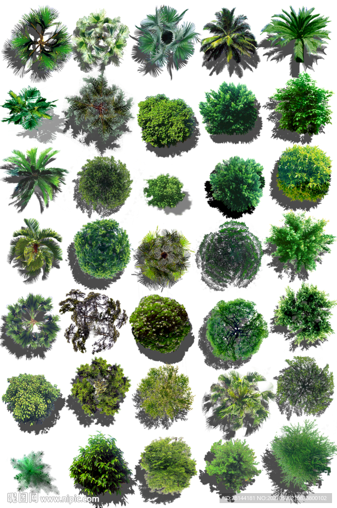 植物平面素材PSD