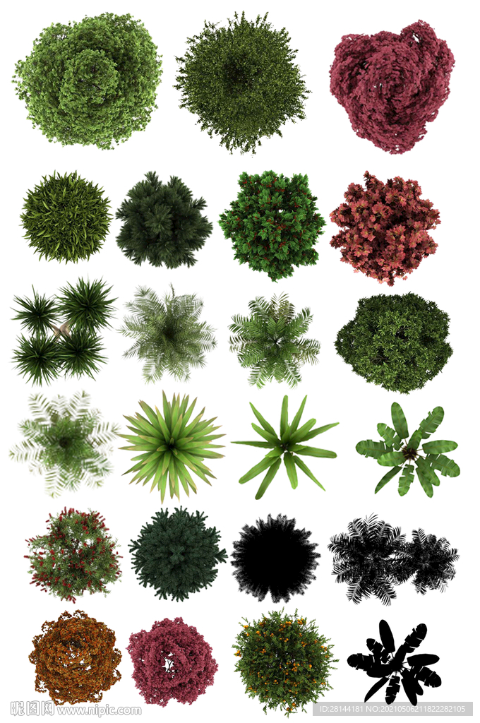 植物平面图PSD