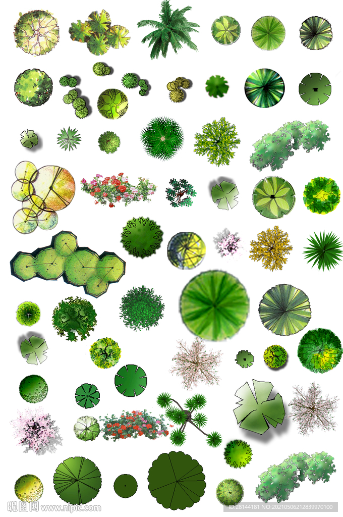 植物平面素材PSD