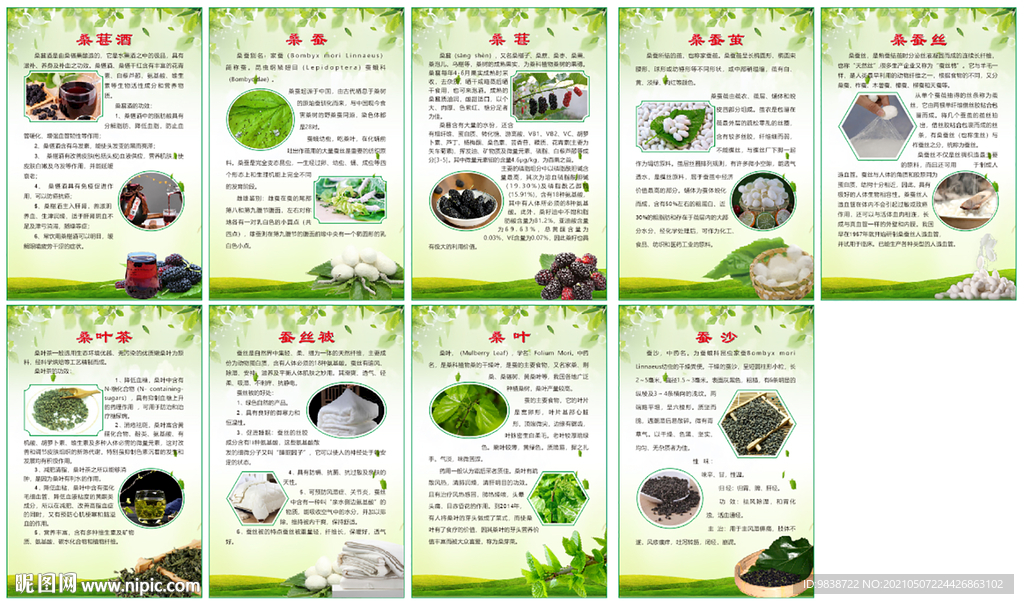 中国传统文化蚕桑文化展板