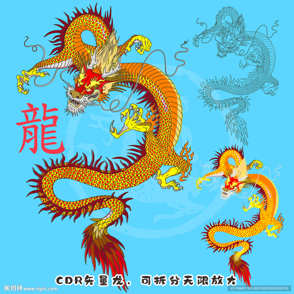 龙