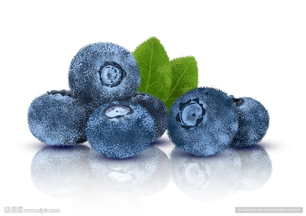 手绘蓝莓包装用素材