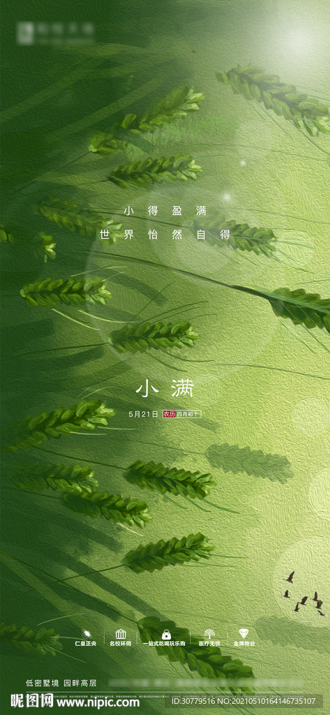 简约房地产小满节气海报