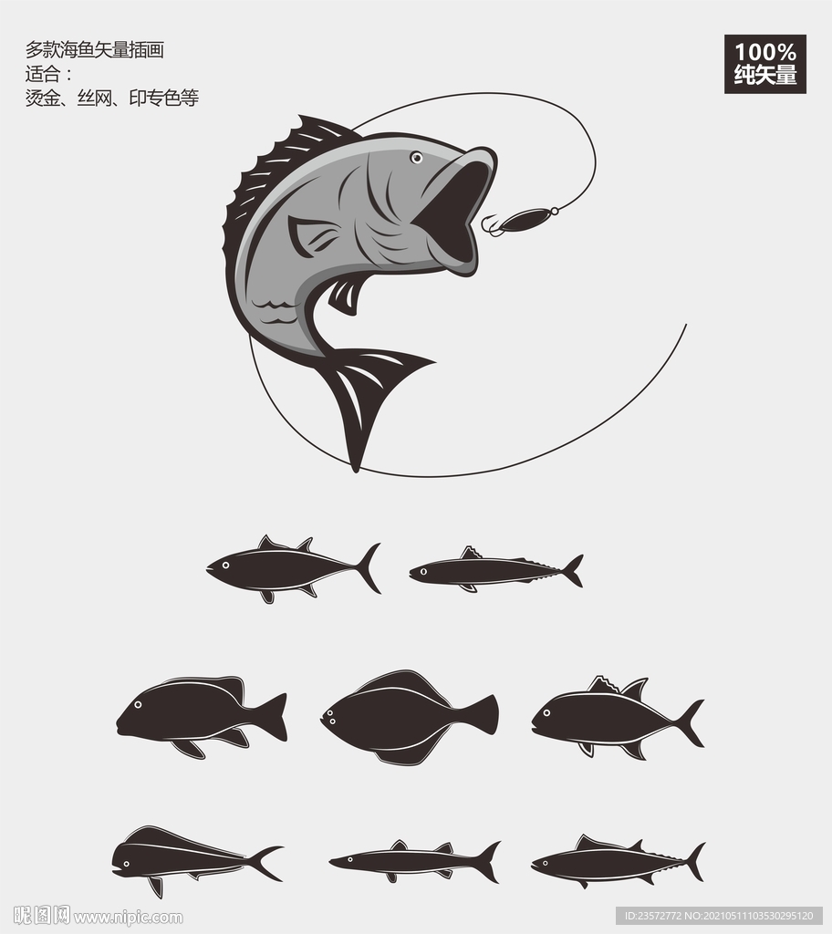 海鱼矢量插画