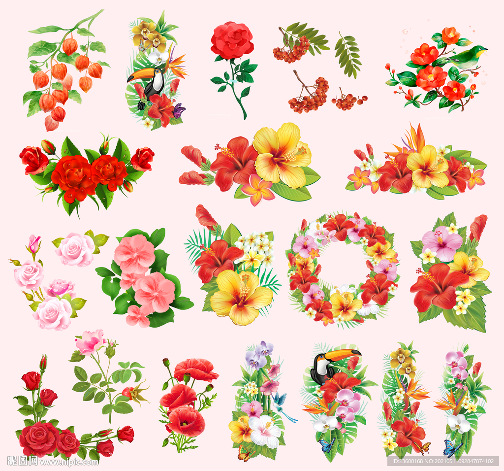 手绘花鸟