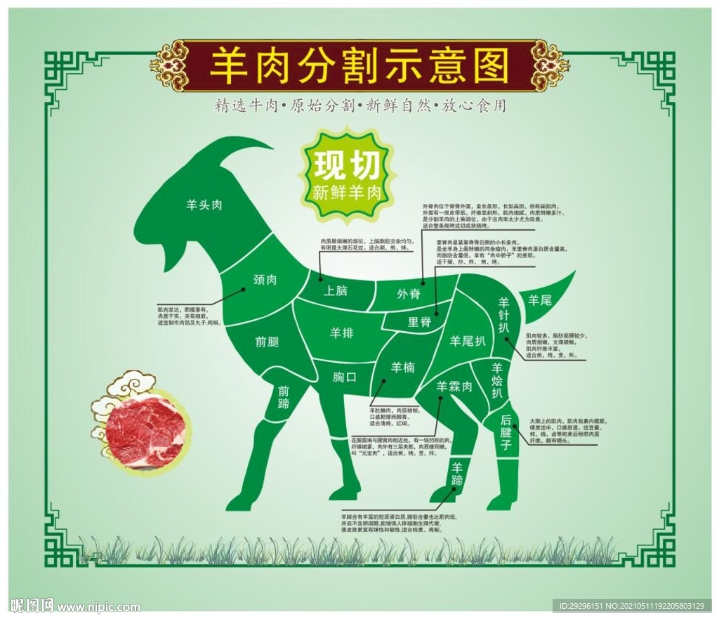 羊肉部位分割图解
