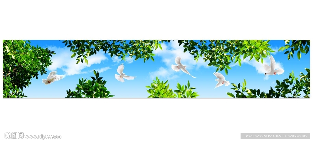 蓝天白云鸽子绿叶