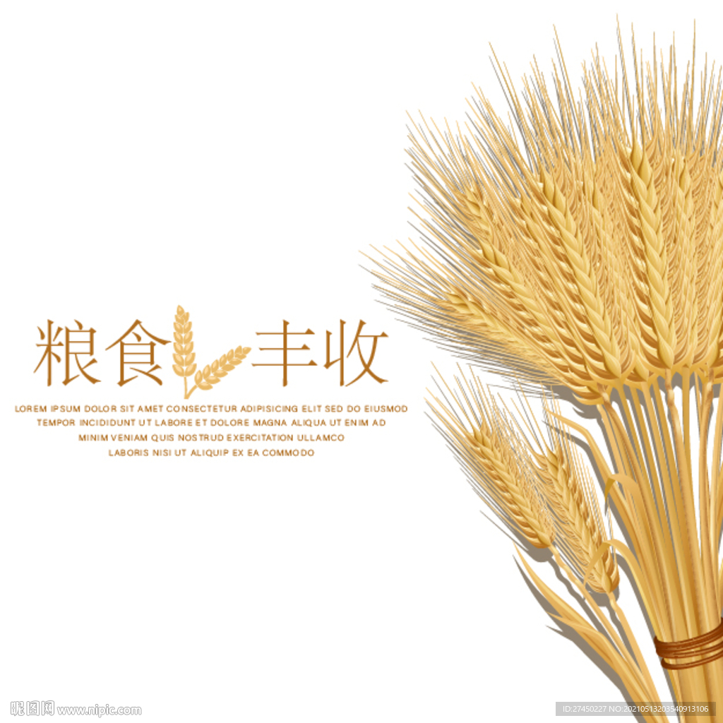 小麦