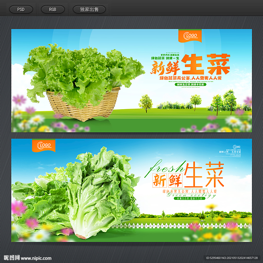 生菜