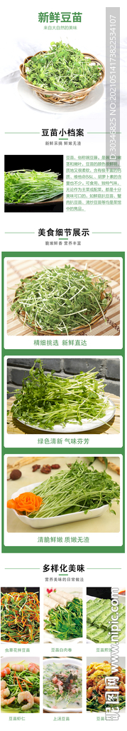 新鲜豆苗详情图