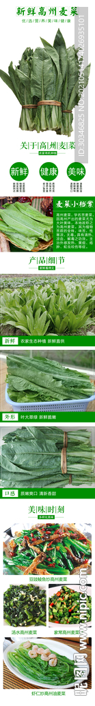 新鲜高州麦菜唛菜详情设计图