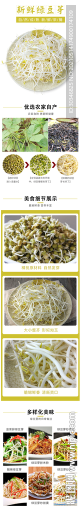 新鲜绿豆芽详情页面装修设计图