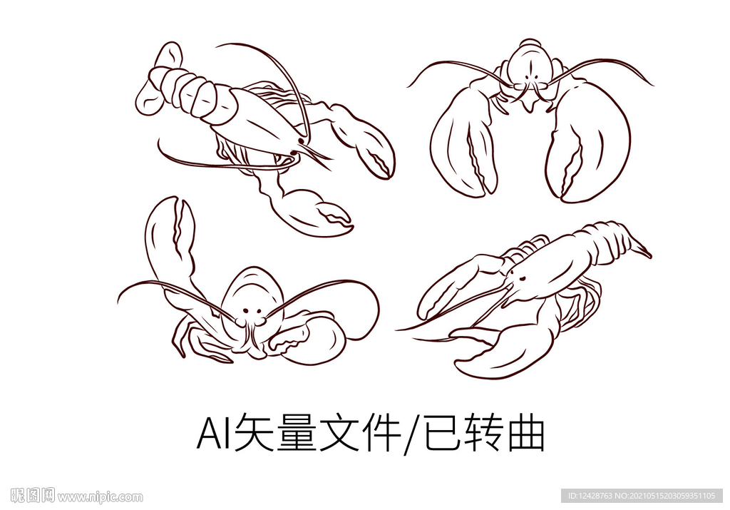龙虾手绘线稿