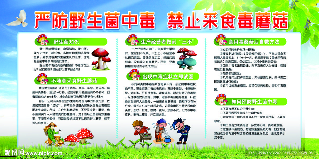 野生菌中毒知识