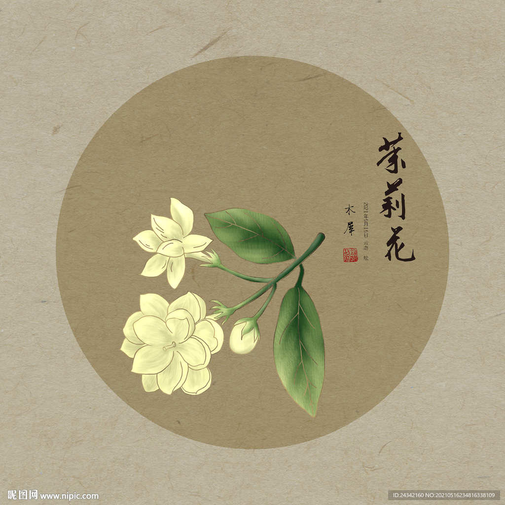 手绘茉莉花