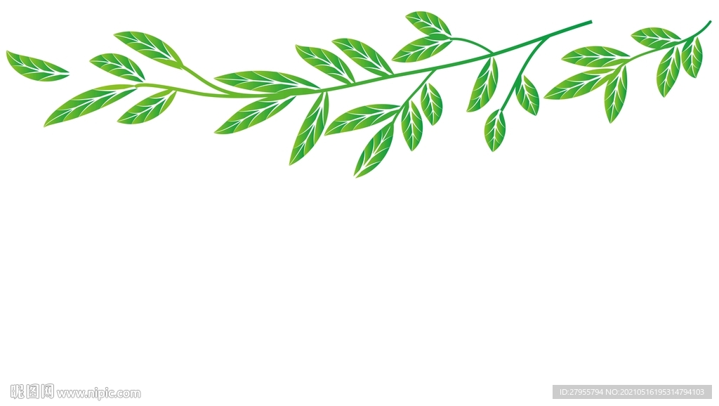 春天柳树