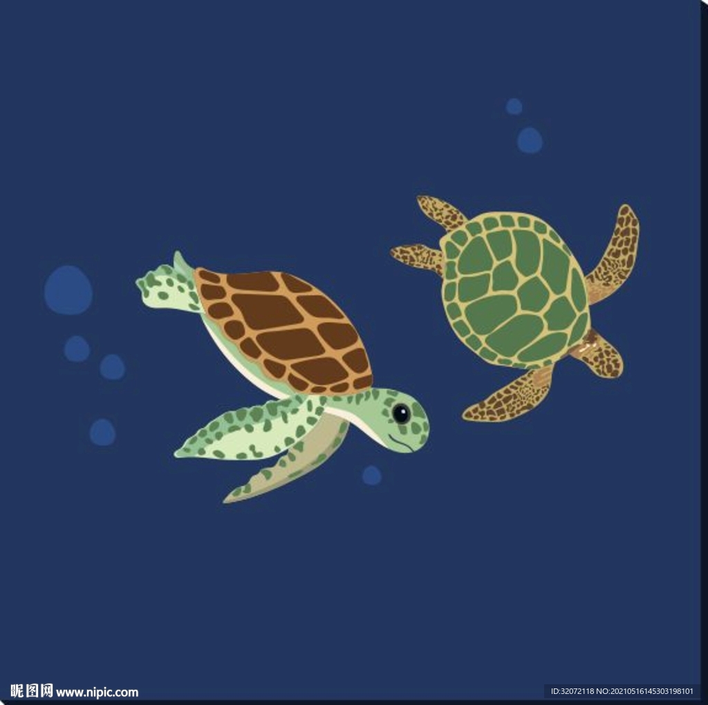 海龟