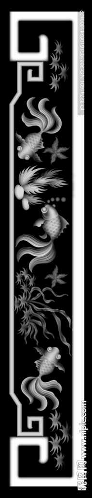 洋花围板金鱼