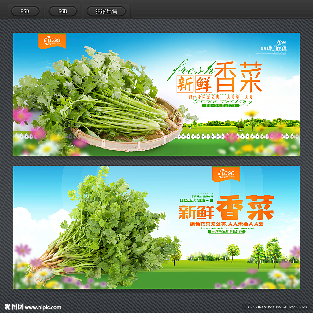 香菜