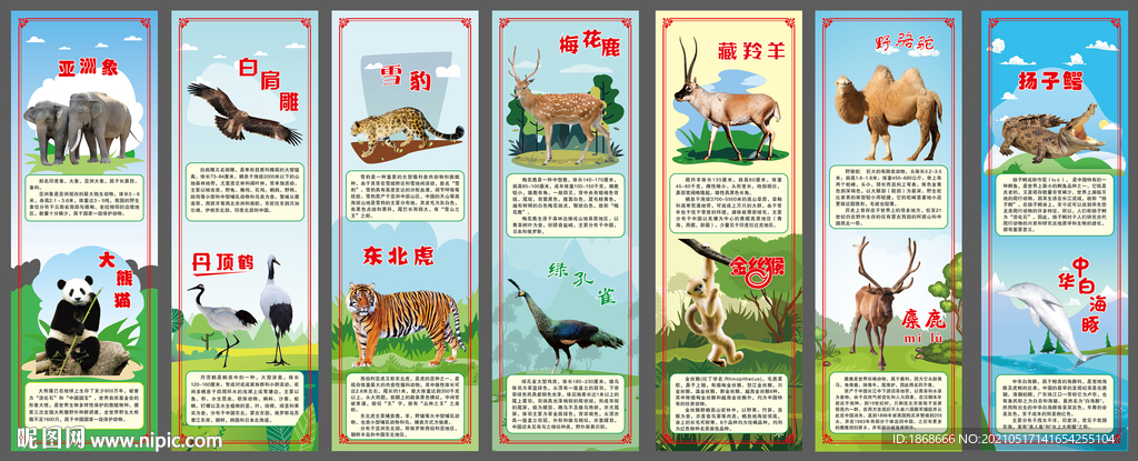 动物介绍