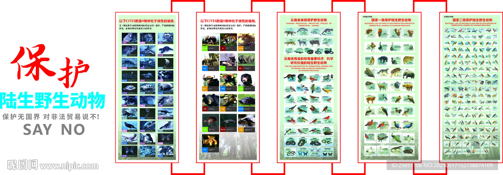 保护野生动植物文化墙