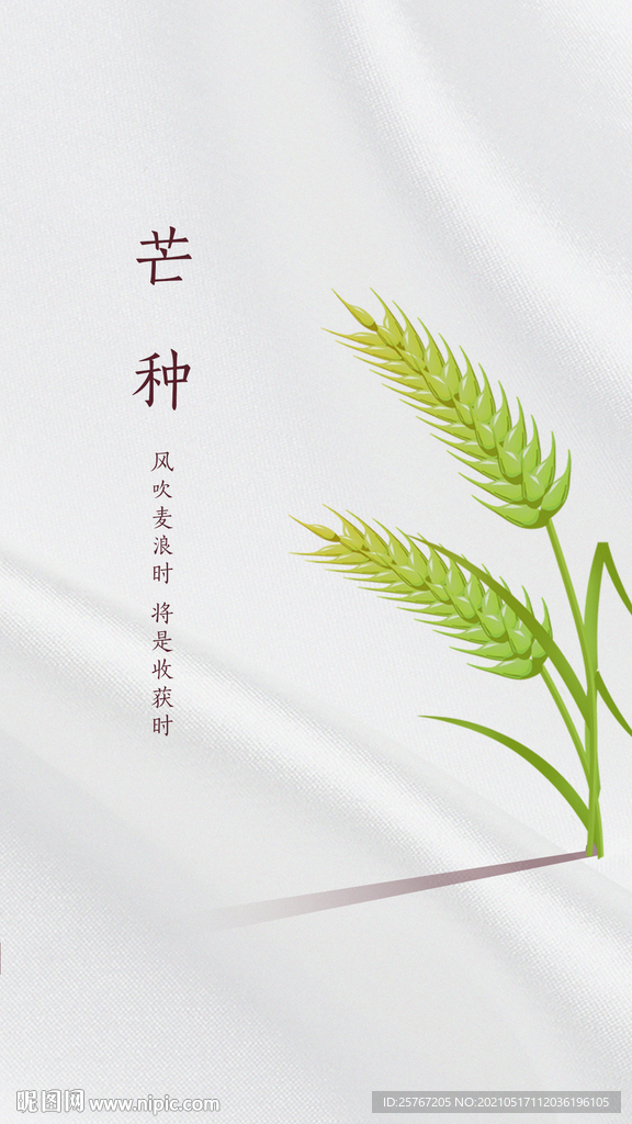 芒种24节气简约海报小麦丰收