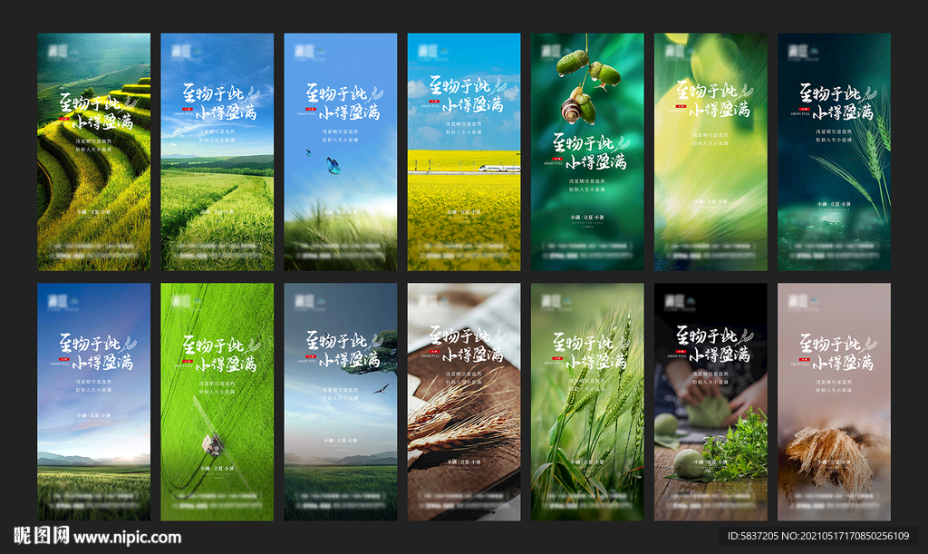 小满微信 二十四节气微信
