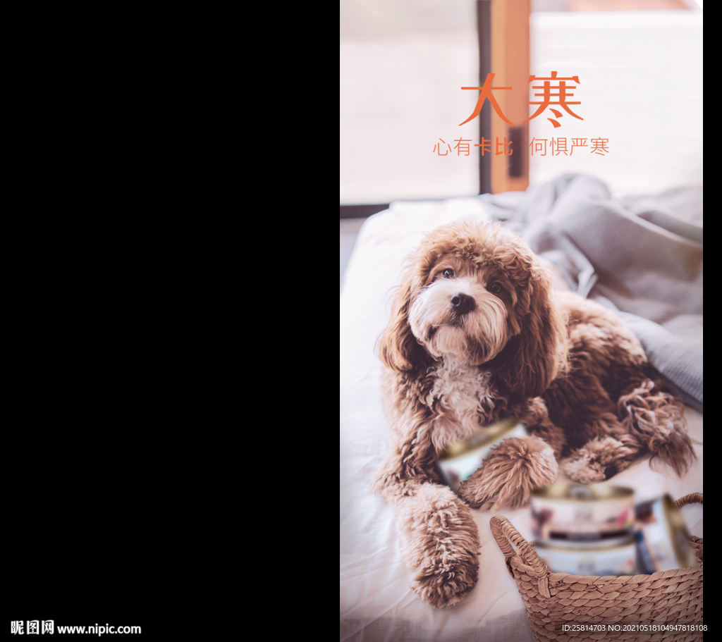 狗粮大寒节气海报