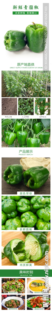 青圆椒详情设计页面
