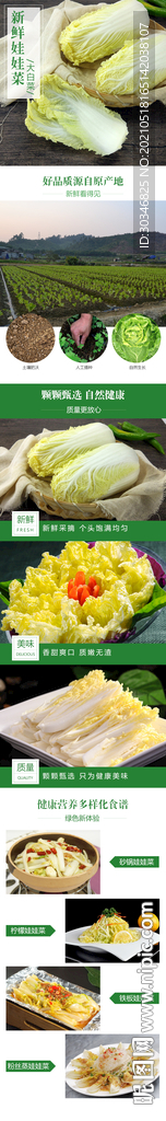 新鲜娃娃菜大白菜详情