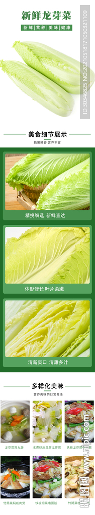 龙牙菜龙芽菜详情页面描述