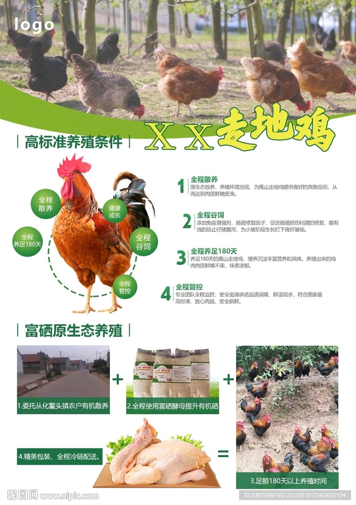 鸡海报