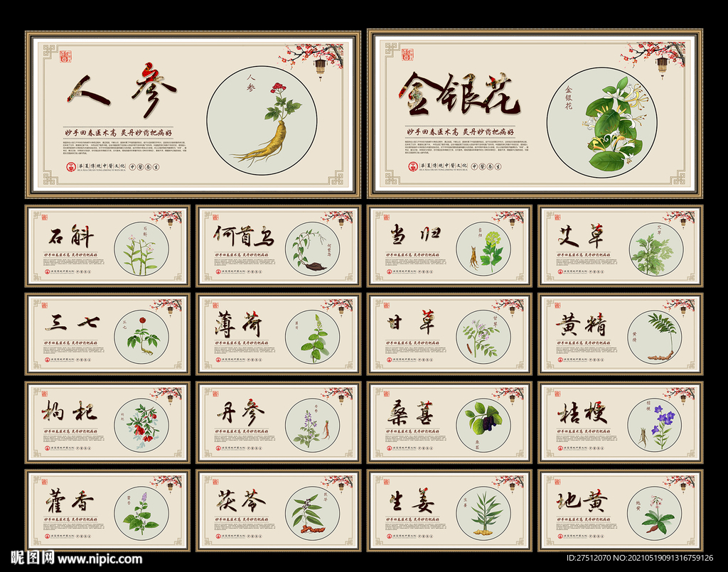 中药文化